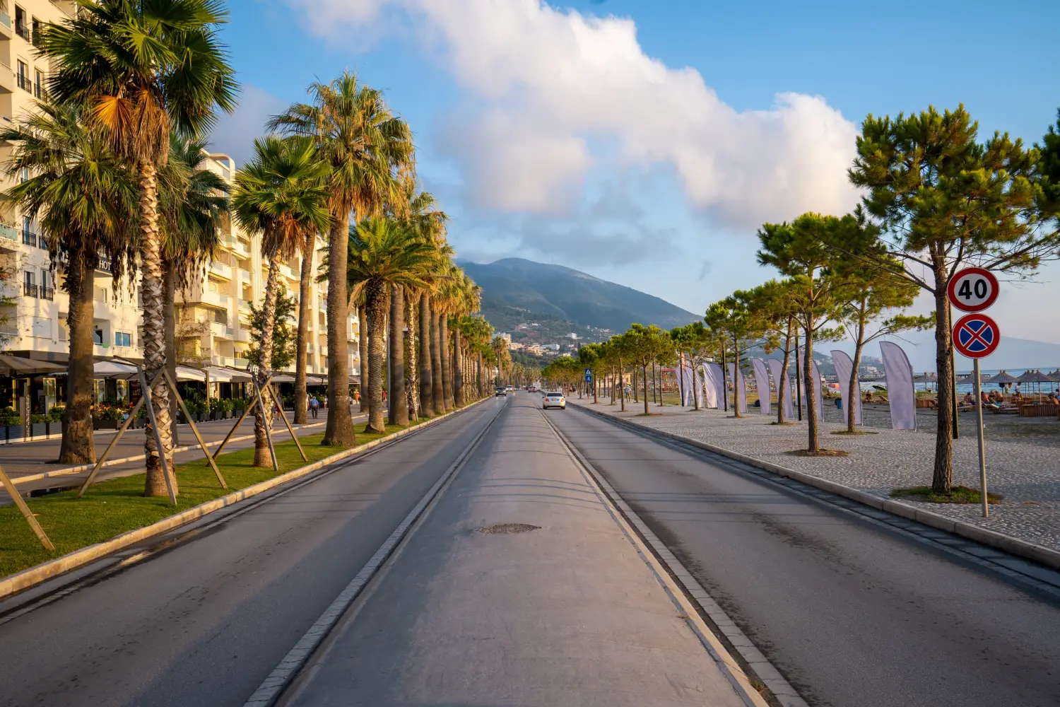 Road View surrounded by palm trees in Vlora