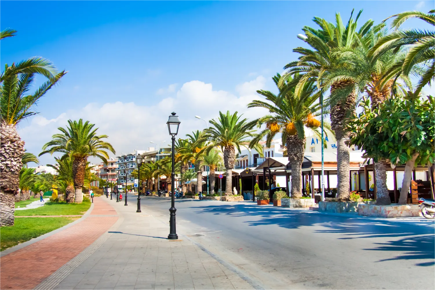 Touristic Street With Palm Trees Along The Seafront In The Old Town Of Rethymno