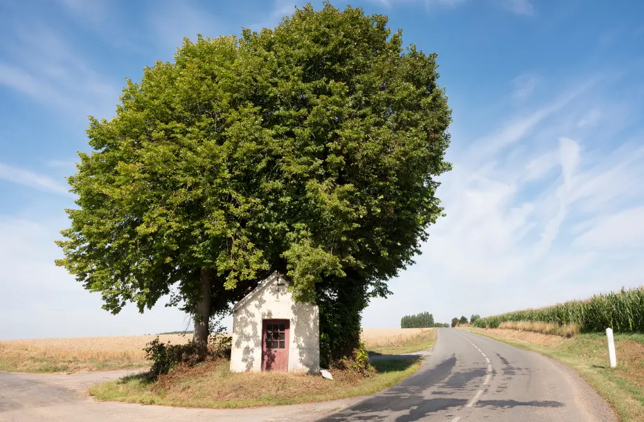 Roadside church under a tree in Calais, France