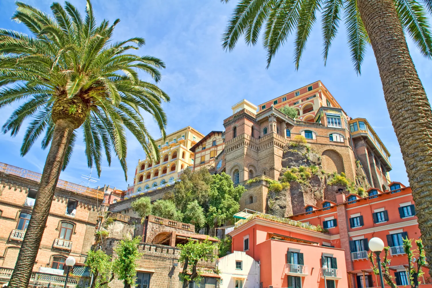 Pine trees and Historic Hotels in Sorrento