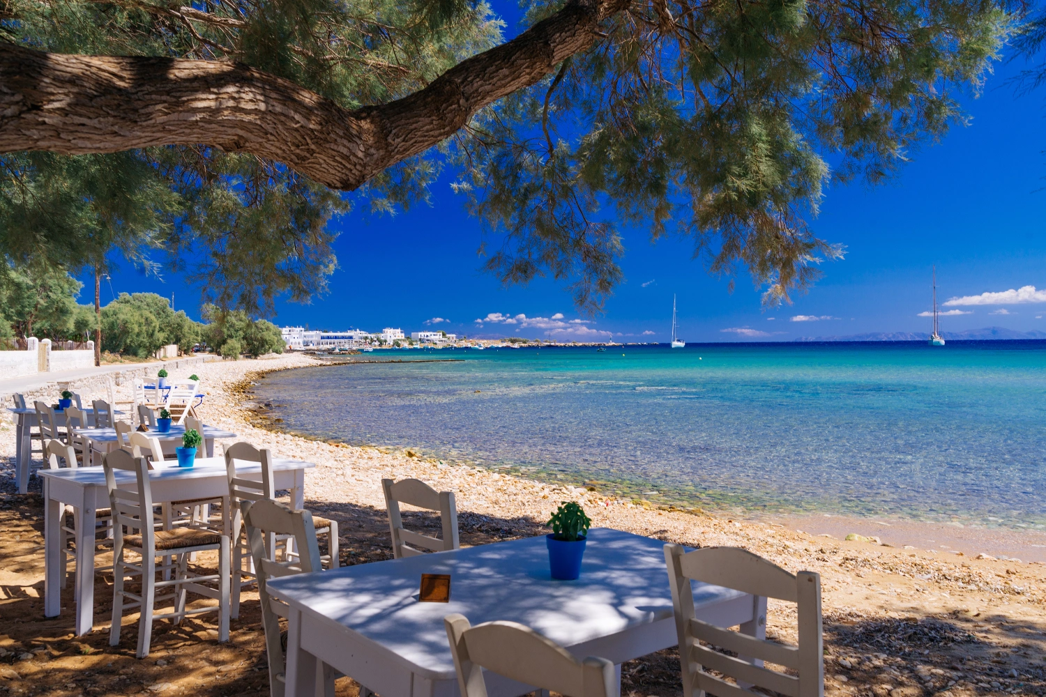 Tavern near the sea in Paros, Greece, from where you can watch if a ferry to Paros is arriving