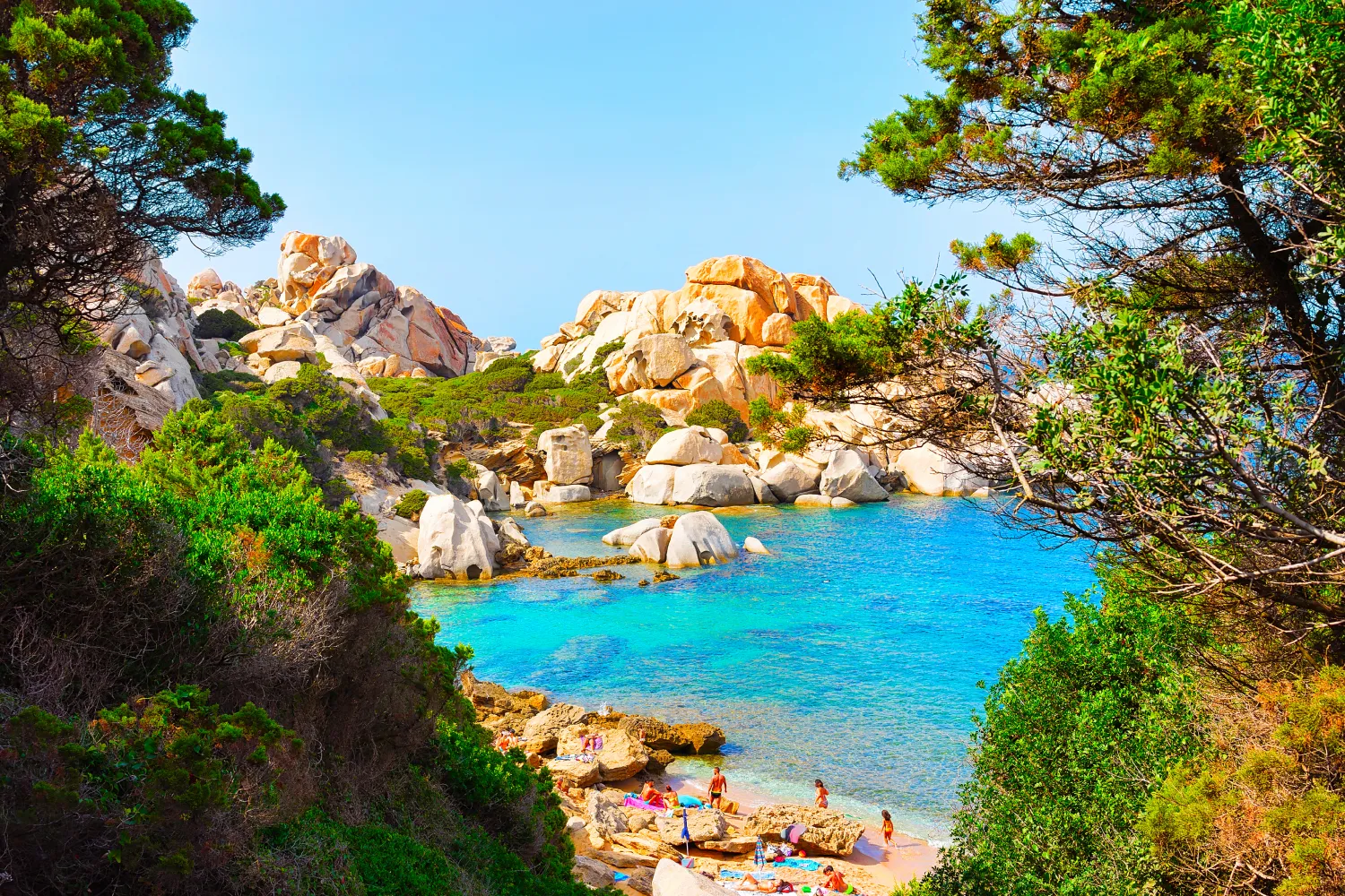 Rocky Coast Of Capo Testa with lush vegetation In Santa Teresa Gallura