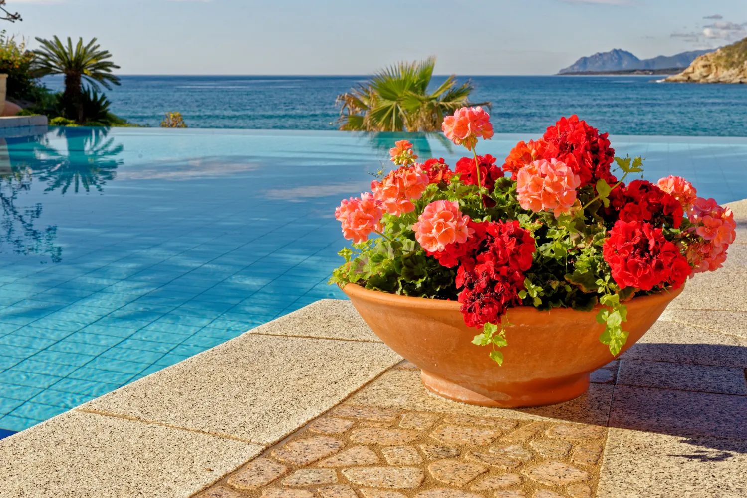 Flower pot with a pool and the sea in the background in Arbatax