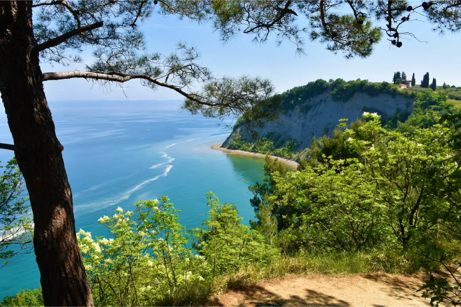 View of a bay from a mountain road in Slovenia