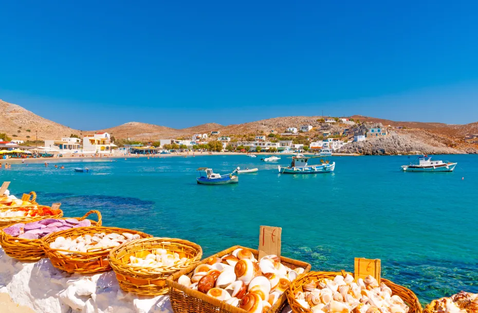 Shells exposed at a sea market in Pserimos