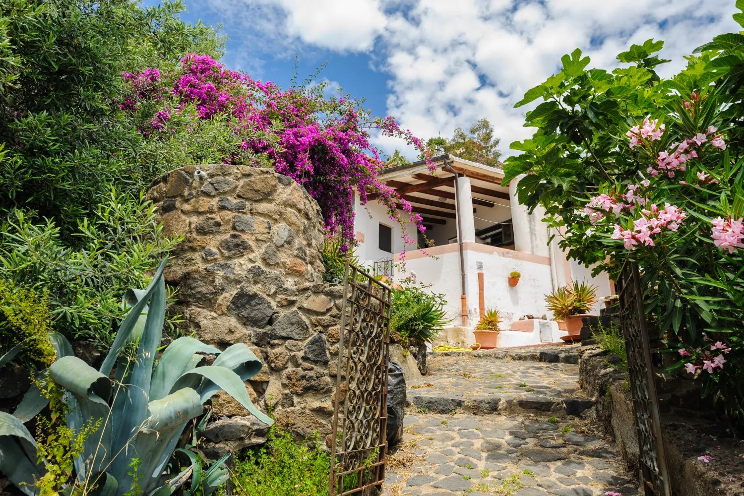 House Among Flowers In Blossom in Alicudi