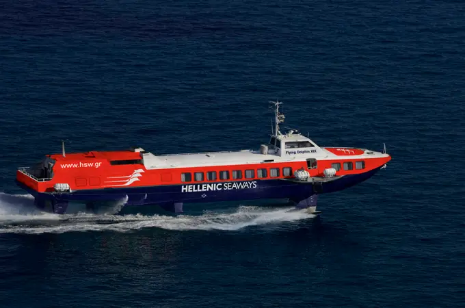 Flyingdolphin 19 image