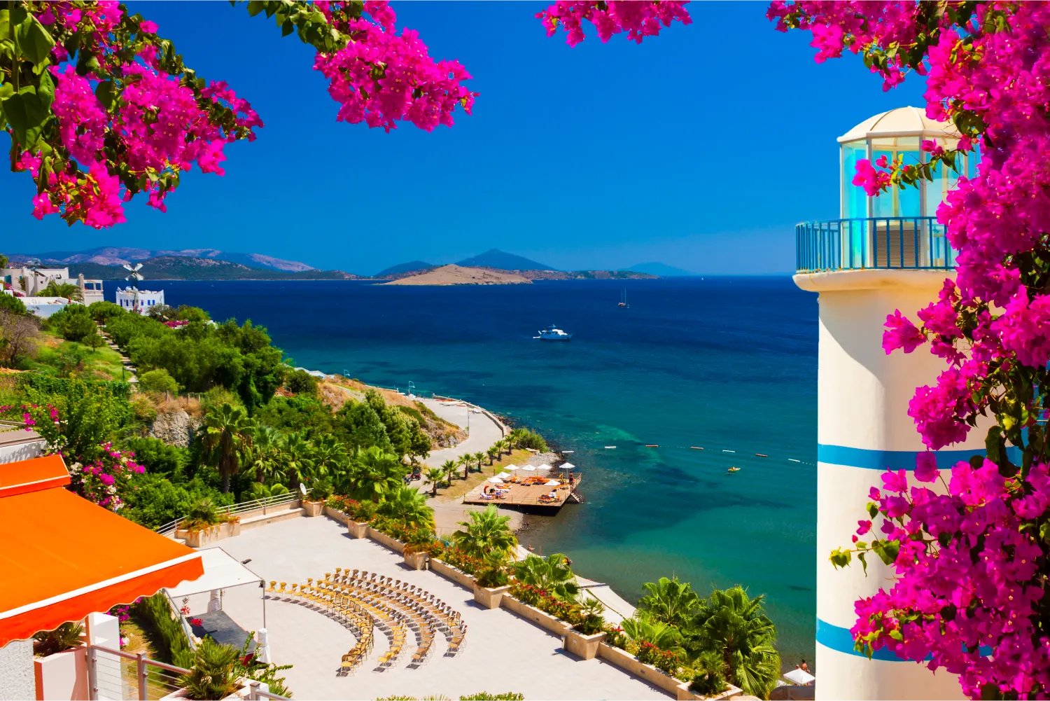 Looking at a bay through a purple bougainvillea