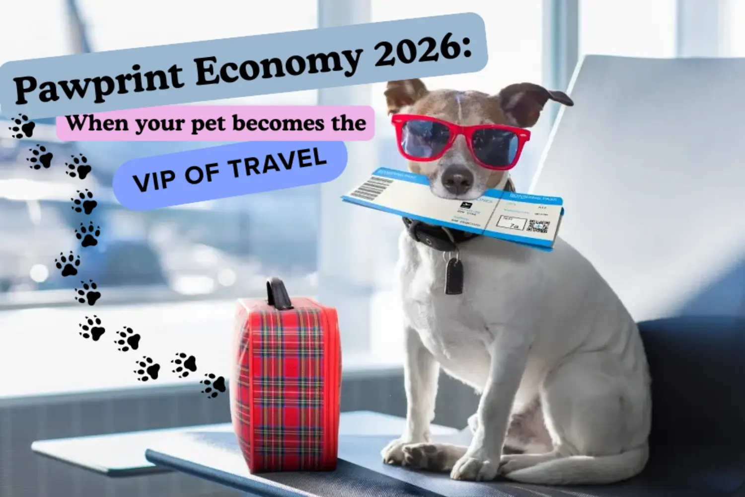 A dog with his luggage, wearing sunglasses and holding his ferry ticket in his mouth