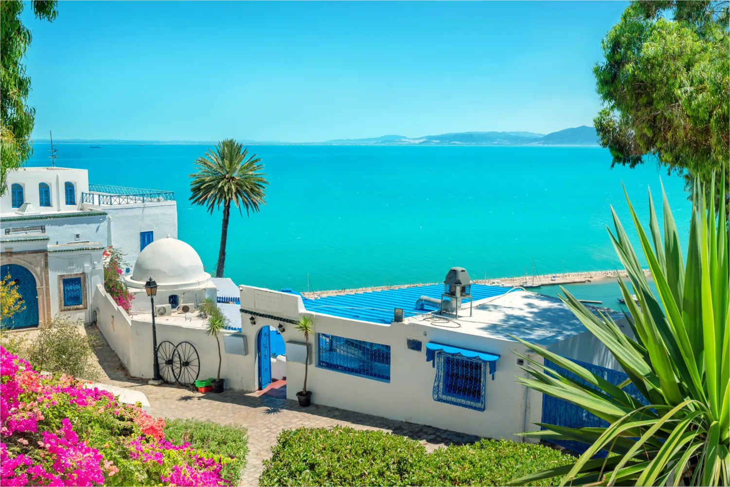 Panoramic Landscape With Typical White Blue Houses, colorful flowers And Beautiful View Of Seaside in Tunis