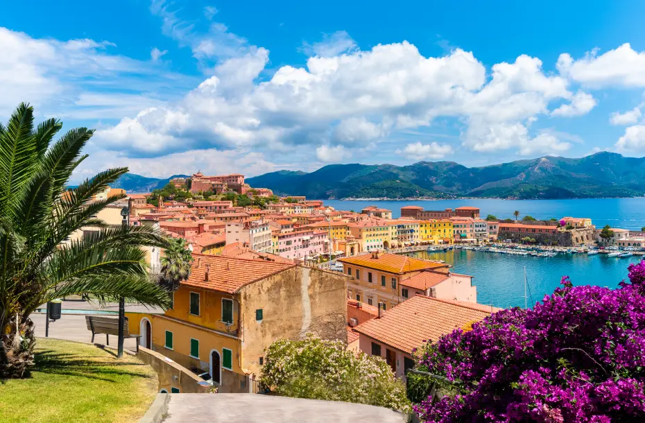 Bloomed trees and in the background, coloful houses and the small port of Portoferraio
