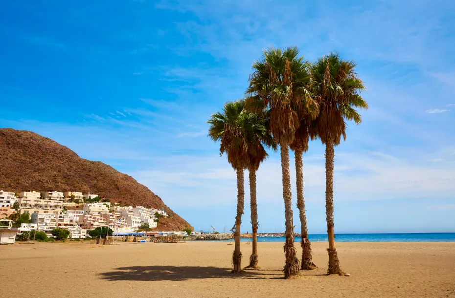Cabo De Gata San Jose Beach in Almeria. Tall pine tress and the town in the background